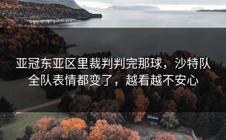 亚冠东亚区里裁判判完那球，沙特队全队表情都变了，越看越不安心